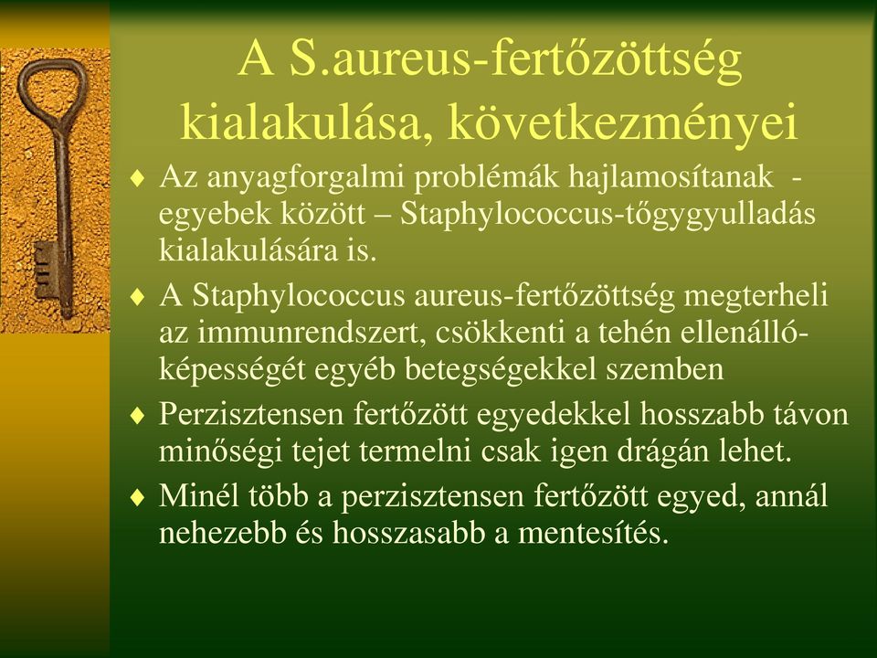 A Staphylococcus aureus-fertőzöttség megterheli az immunrendszert, csökkenti a tehén ellenállóképességét egyéb