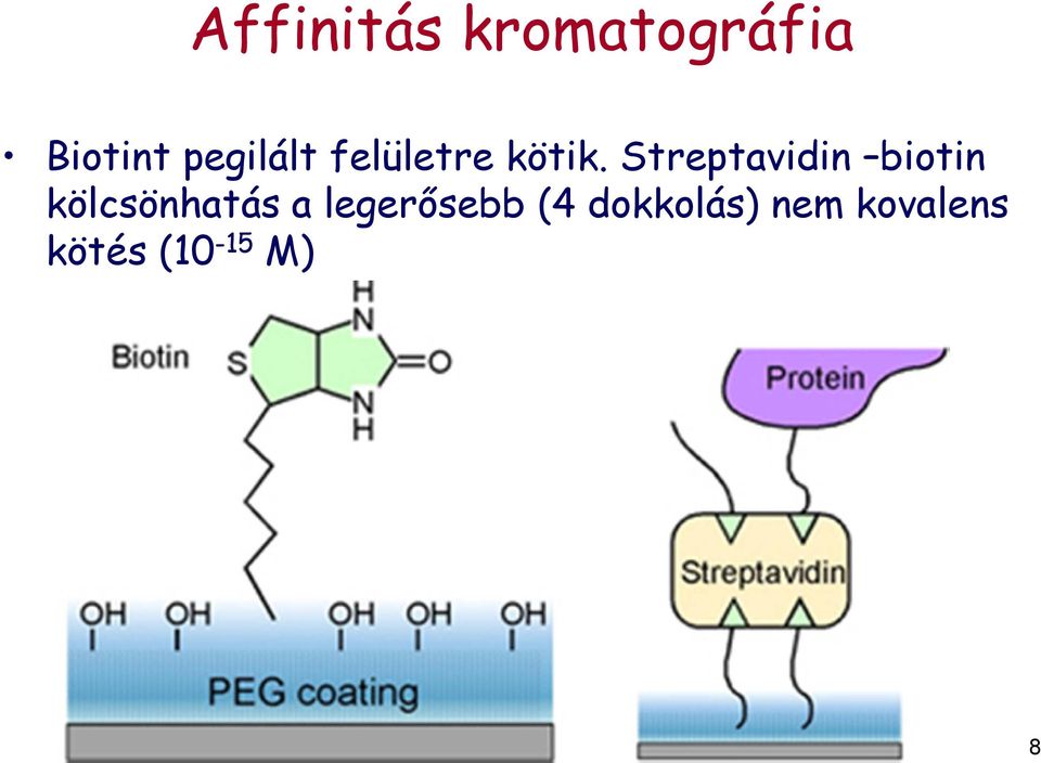 Streptavidin biotin kölcsönhatás a