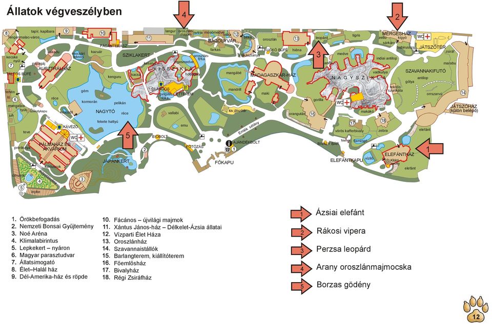 oroszlánfóka Pákásztanya keselyű jegesmedve KISSZIKLA kacsa hóbagoly mangábé kenguru MADAGASZKÁR-HÁZ NAGYTÓ fekete hattyú pelikán réce 5 JAPÁNKERT LÁNGOS pingvin, fóka BIOBOLT vallabi ÉTTEREM emu