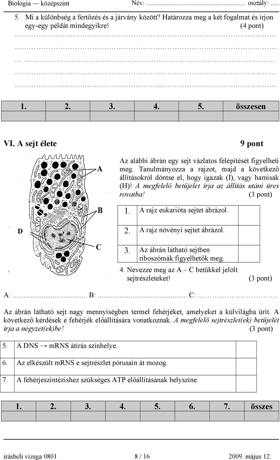 A megfelelő betűjelet írja az állítás utáni üres rovatba! (3 pont) 1. A rajz eukarióta sejtet ábrázol. D 2. A rajz növényi sejtet ábrázol. 3. Az ábrán látható sejtben riboszómák figyelhetők meg. 4.