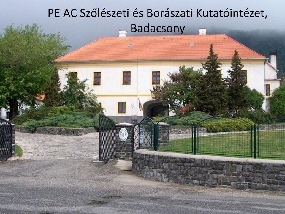 Borászati