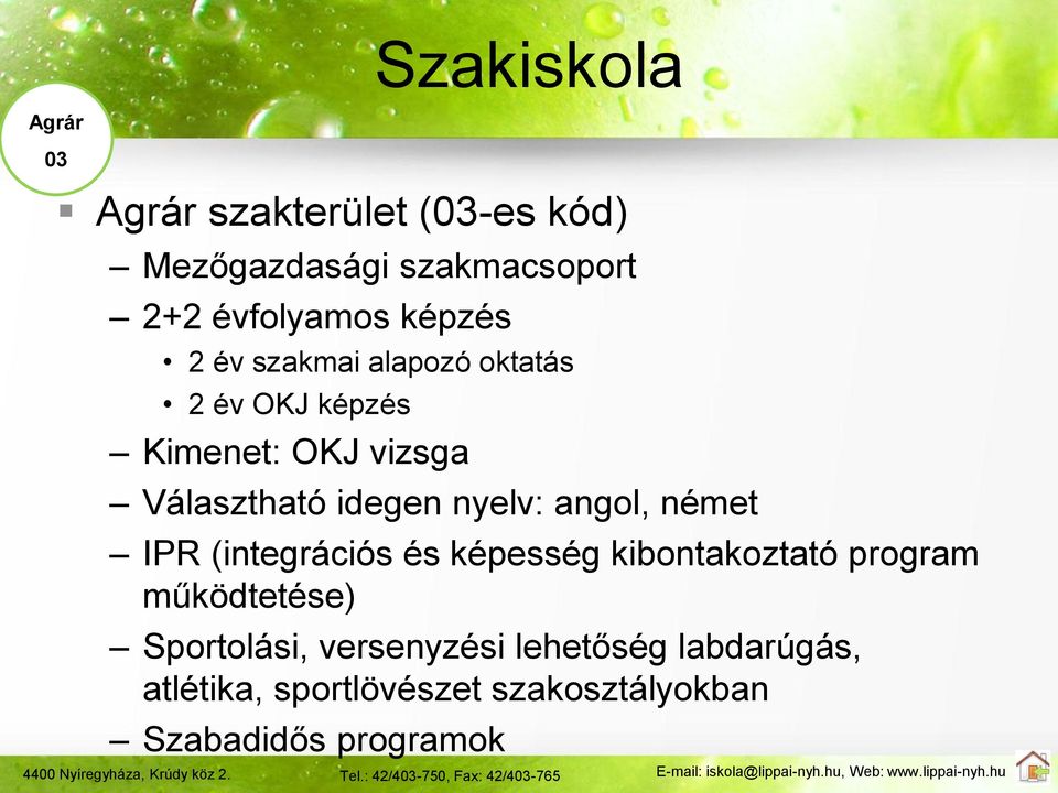 nyelv: angol, német IPR (integrációs és képesség kibontakoztató program működtetése)