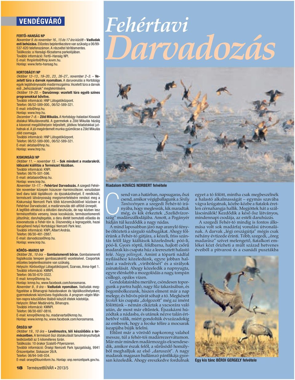 , 19 20., 23., 26 27., november 2 3. Vezetett túra a darvak nyomában. A daruvonulás a Hortobágy egyik leglátványosabb madármozgalma. Vezetett túra a darvak esti behúzásának megtekintésére.