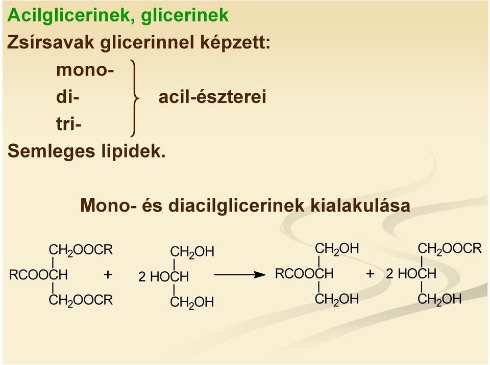 Mono- és diacilglicerinek kialakulása CH 2 CR CH 2 H