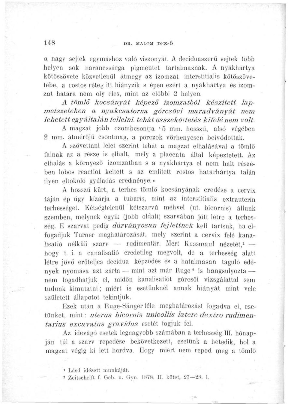 A tömlő kocsányát képező izomzatból készített lapmetszeteken a nyakcsatorna górcsövi maradványát nem lehetett egyáltalán iellelni.