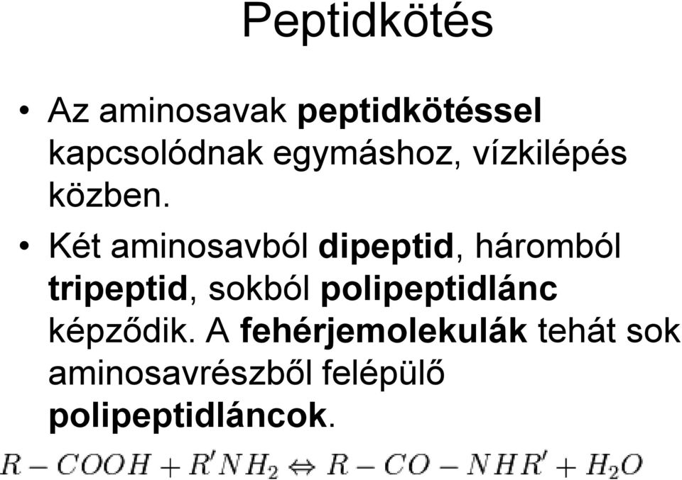 Két aminosavból dipeptid, háromból tripeptid, sokból