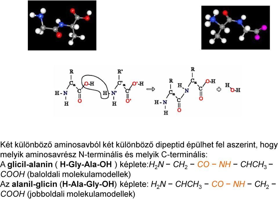 képlete:h 2 N CH 2 CO NH CHCH 3 COOH (baloldali molekulamodellek) Az alanil-glicin