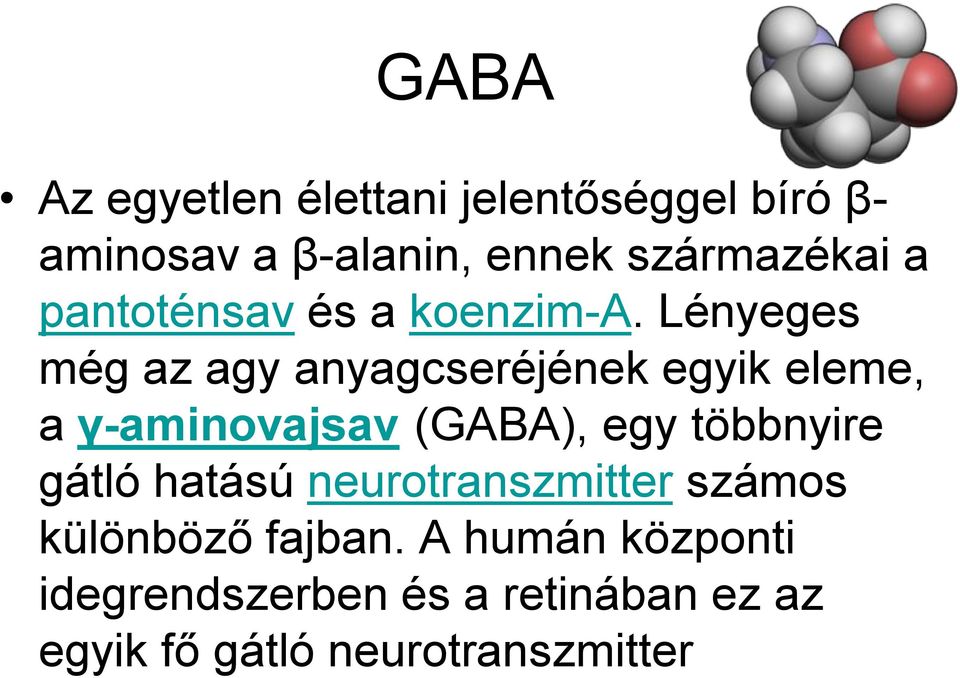 Lényeges még az agy anyagcseréjének egyik eleme, a γ-aminovajsav (GABA), egy többnyire