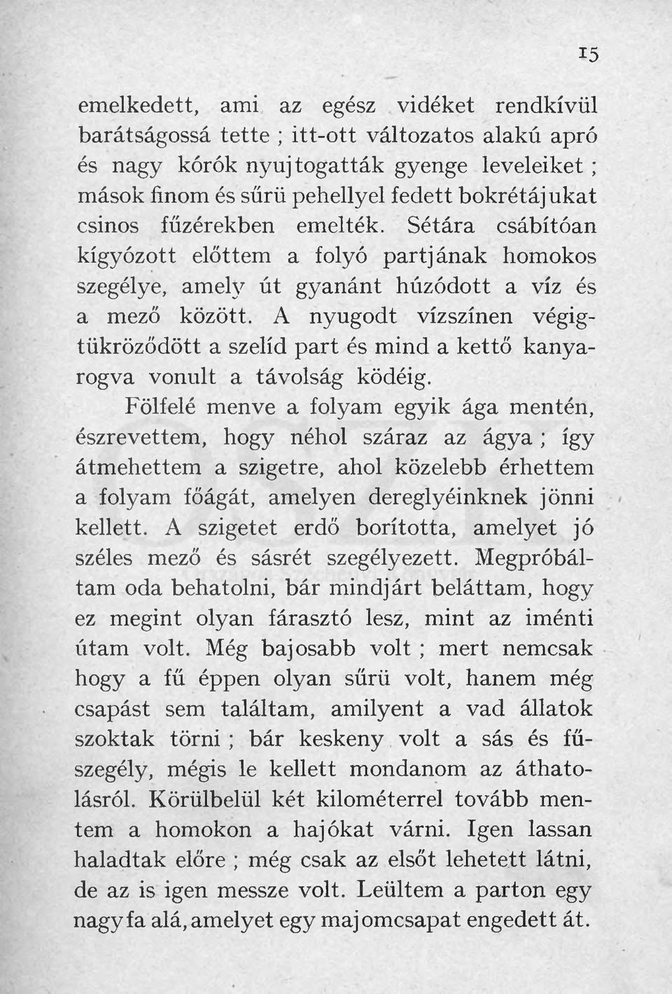 A nyugodt vízszínen végigtükröződött a szelíd part és mind a kettő kanyarogva vonult a távolság ködéig.