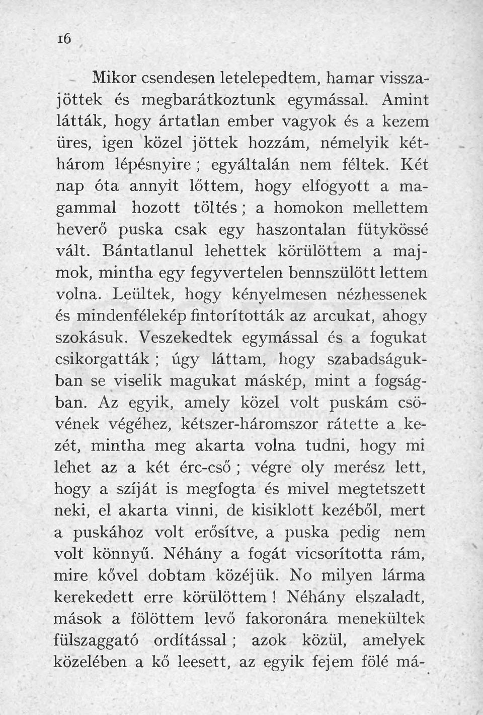 Két nap óta annyit lőttem, hogy elfogyott a magammal hozott tö ltés; a homokon mellettem heverő puska csak egy haszontalan fütykössé vált.