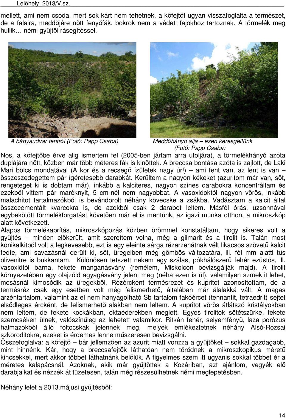 A bányaudvar fentrıl (Fotó: Papp Csaba) Meddıhányó alja ezen keresgéltünk (Fotó: Papp Csaba) Nos, a kıfejtıbe érve alig ismertem fel (2005-ben jártam arra utoljára), a törmelékhányó azóta duplájára