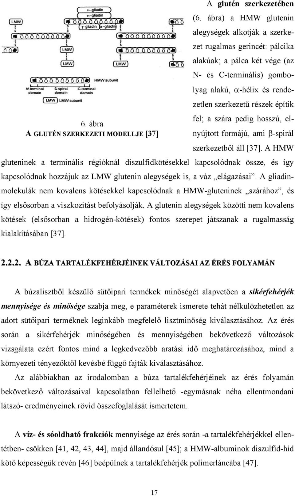 a szára pedig hosszú, elnyújtott formájú, ami β-spirál szerkezetből áll [37].