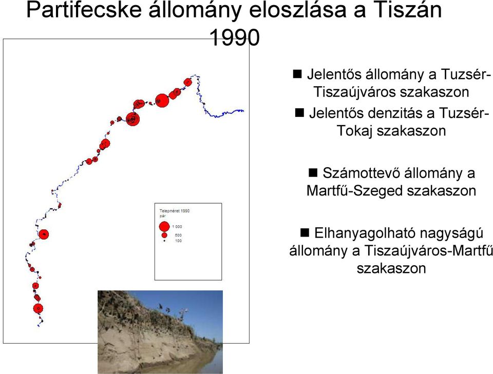 Tokaj szakaszon Számottevő állomány a Martfű-Szeged szakaszon