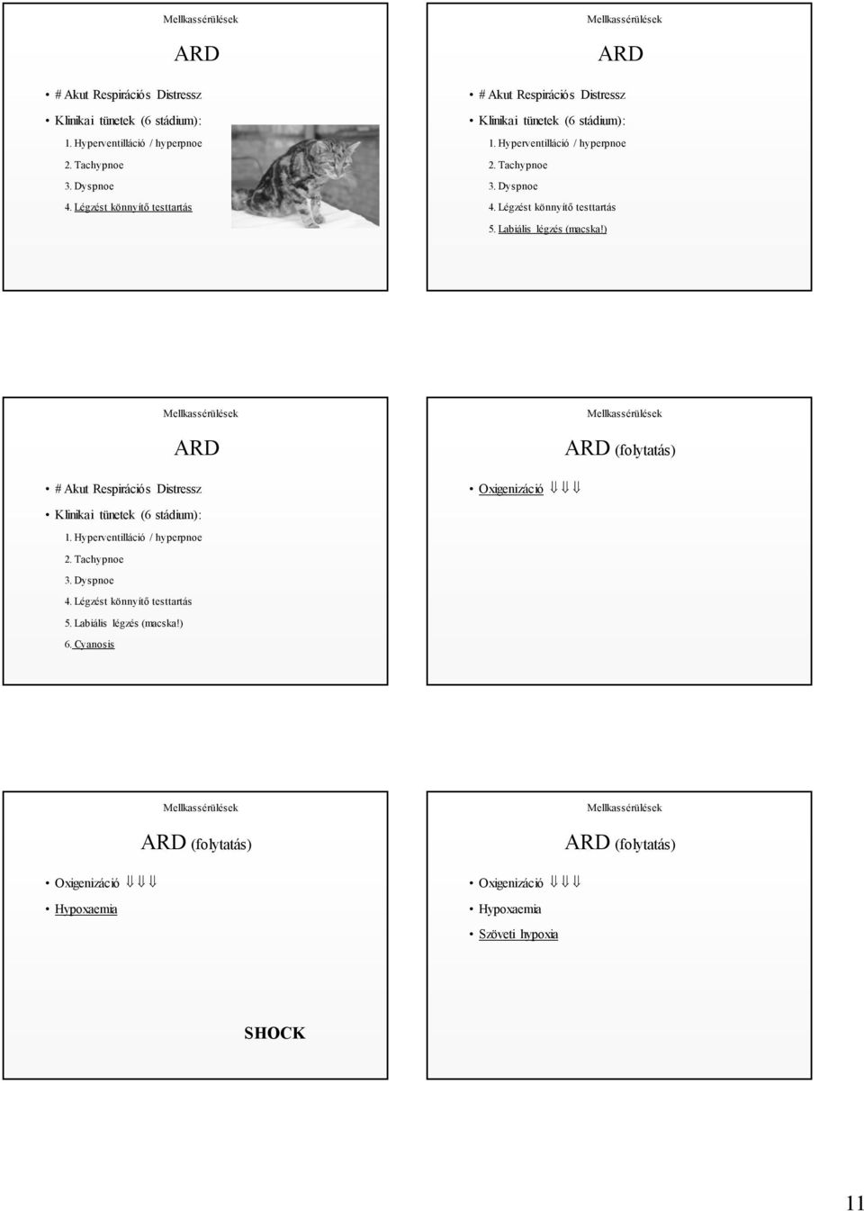 ) ARD # Akut Respirációs Distressz Oxigenizáció ARD (folytatás) Klinikai tünetek (6 stádium): 1. Hyperventilláció / hyperpnoe 2. Tachypnoe 3. Dyspnoe 4.