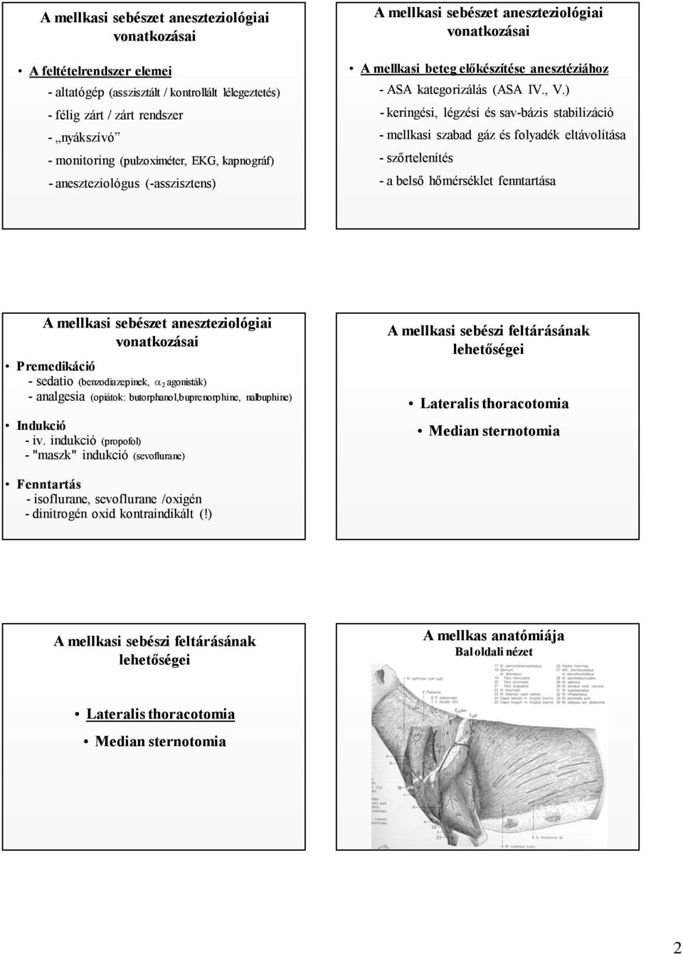 ) - keringési, légzési és sav-bázis stabilizáció - mellkasi szabad gáz és folyadék eltávolítása - szőrtelenítés - a belső hőmérséklet fenntartása A mellkasi sebészet aneszteziológiai vonatkozásai