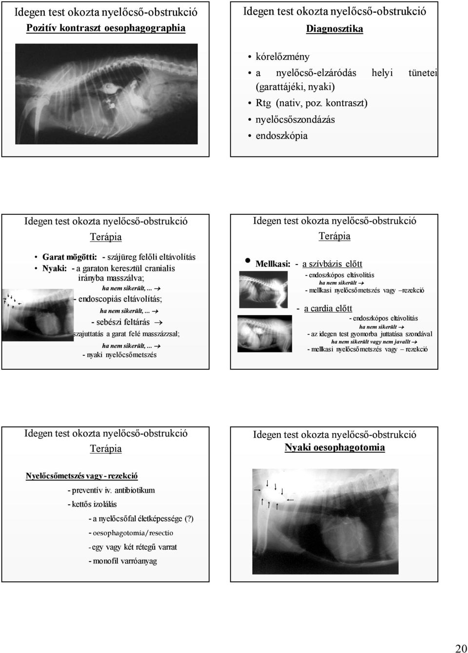 .. - endoscopiás eltávolítás; ha nem sikerült,... - sebészi feltárás - visszajuttatás a garat felé masszázzsal; ha nem sikerült,.