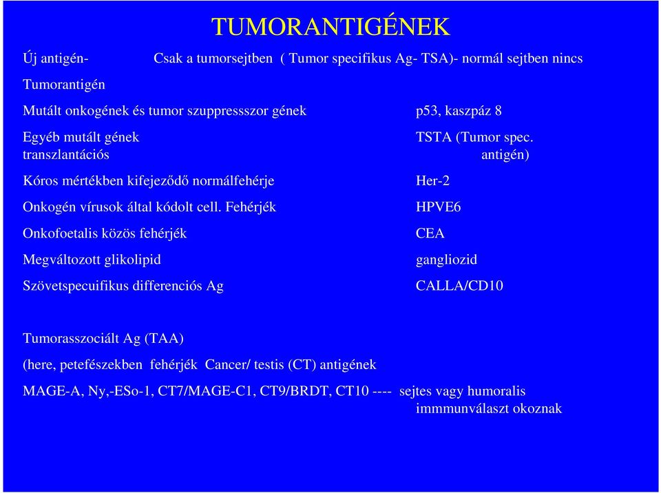 transzlantációs antigén) Kóros mértékben kifejezıdı normálfehérje Her-2 Onkogén vírusok által kódolt cell.