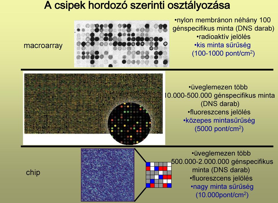 000 génspecifikus minta (DNS darab) fluoreszcens jelölés közepes mintasűrűség (5000 pont/cm 2 ) chip