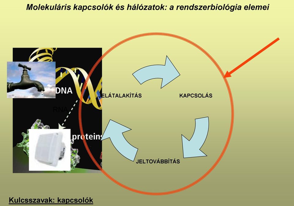 elemei JELÁTALAKÍTÁS KAPCSOLÁS
