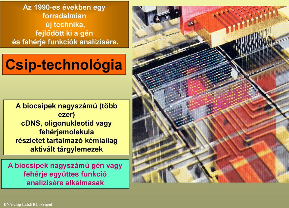 Csip-technológia A biocsipek nagyszámú (több ezer) cdns, oligonukleotid vagy