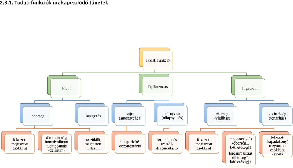 (autopsychés) környezet (allopsychés) éberség (vigilitás) köthetőség (tenacitás) álomittasság