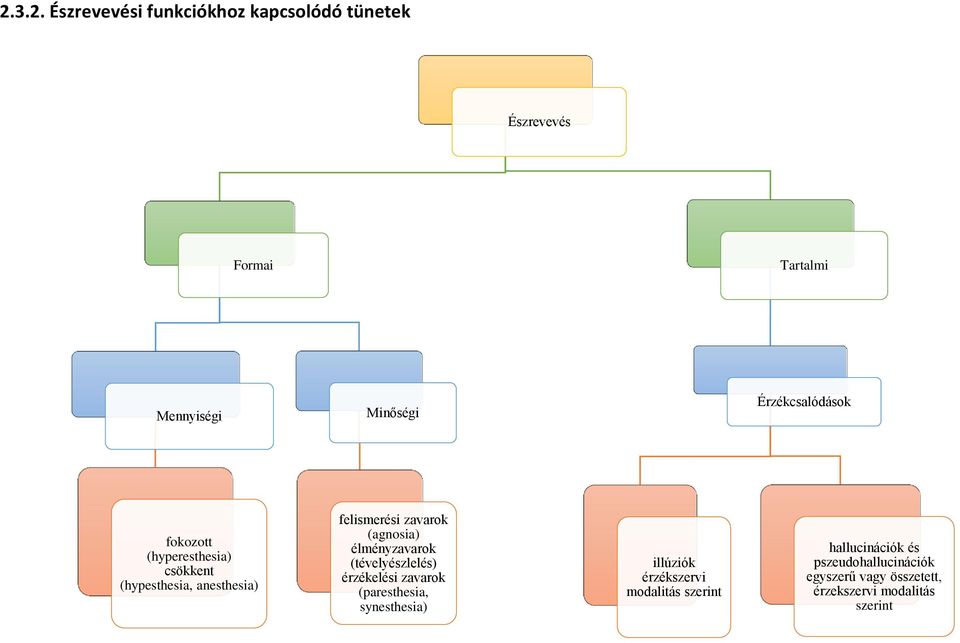 élményzavarok (tévelyészlelés) érzékelési zavarok (paresthesia, synesthesia) illúziók érzékszervi