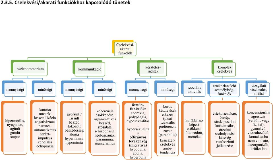 parancsautomatizmus harántimpulzus echolalia echopraxia kommunikáció gyorsult / lassult beszéd beszédesség alógia hypermimia hypomimia koherencia csökkenése, agrammatikus beszéd, szósaláta,