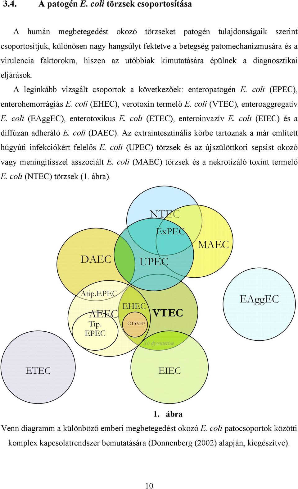 faktorokra, hiszen az utóbbiak kimutatására épülnek a diagnosztikai eljárások. A leginkább vizsgált csoportok a következőek: enteropatogén E. coli (EPEC), enterohemorrágiás E.
