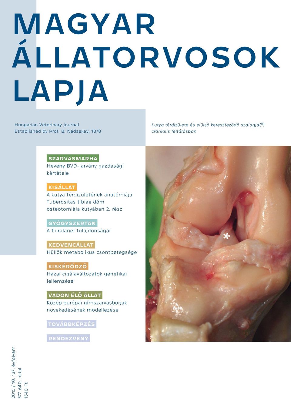 A kutya térdizületének anatómiája Tuberositas tibiae dóm osteotomiája kutyában 2.