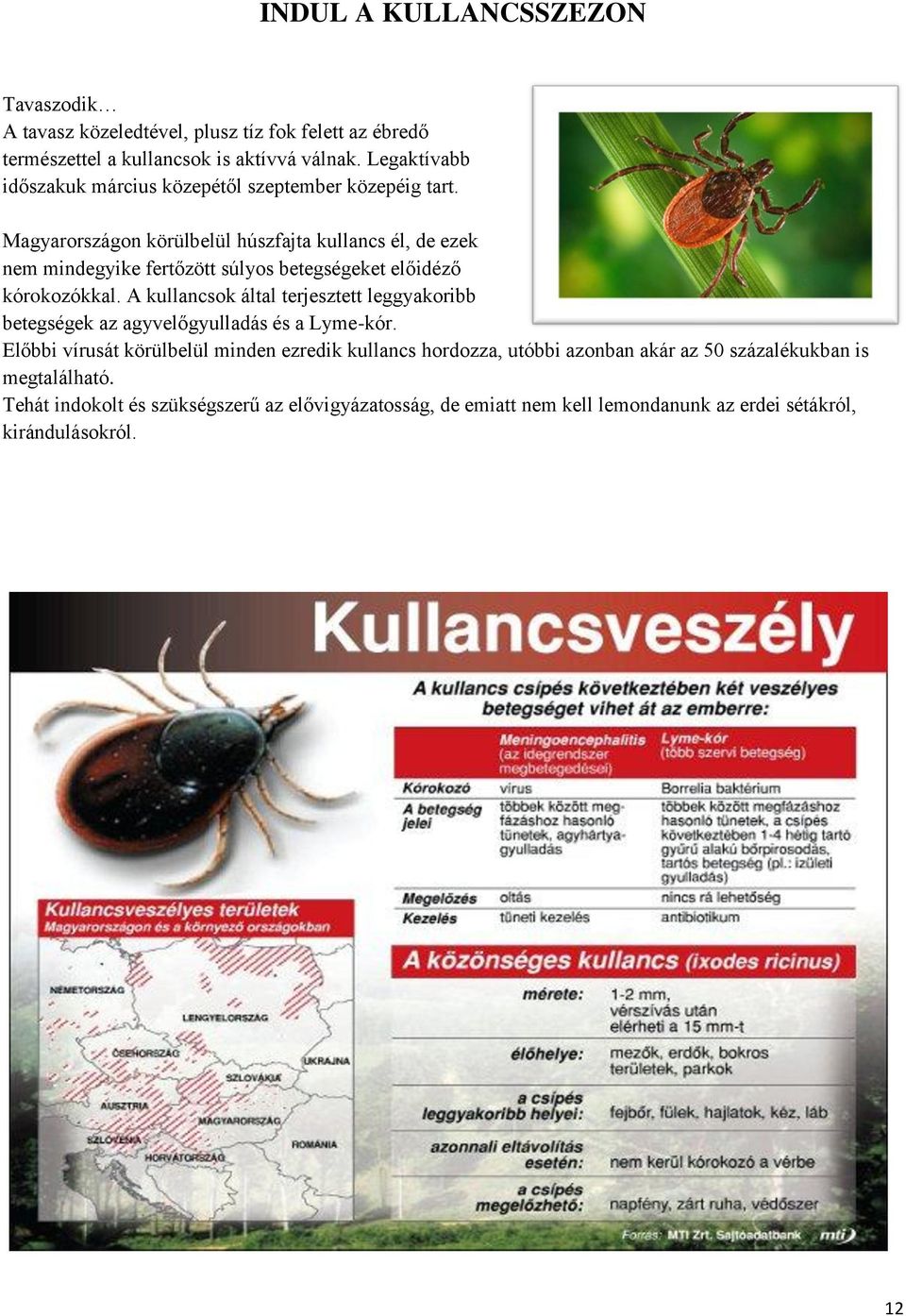 Magyarországon körülbelül húszfajta kullancs él, de ezek nem mindegyike fertőzött súlyos betegségeket előidéző kórokozókkal.