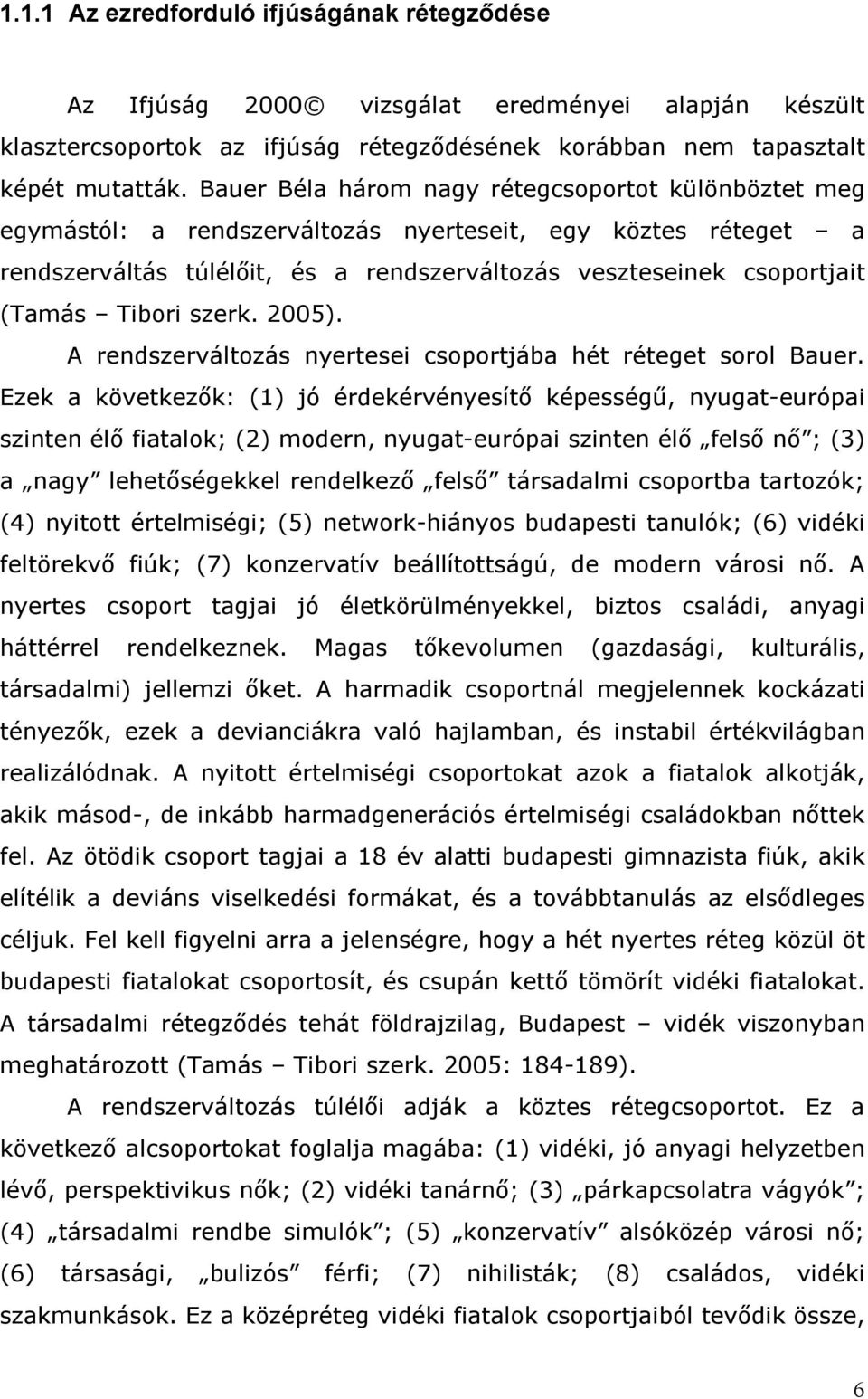 Tibori szerk. 2005). A rendszerváltozás nyertesei csoportjába hét réteget sorol Bauer.