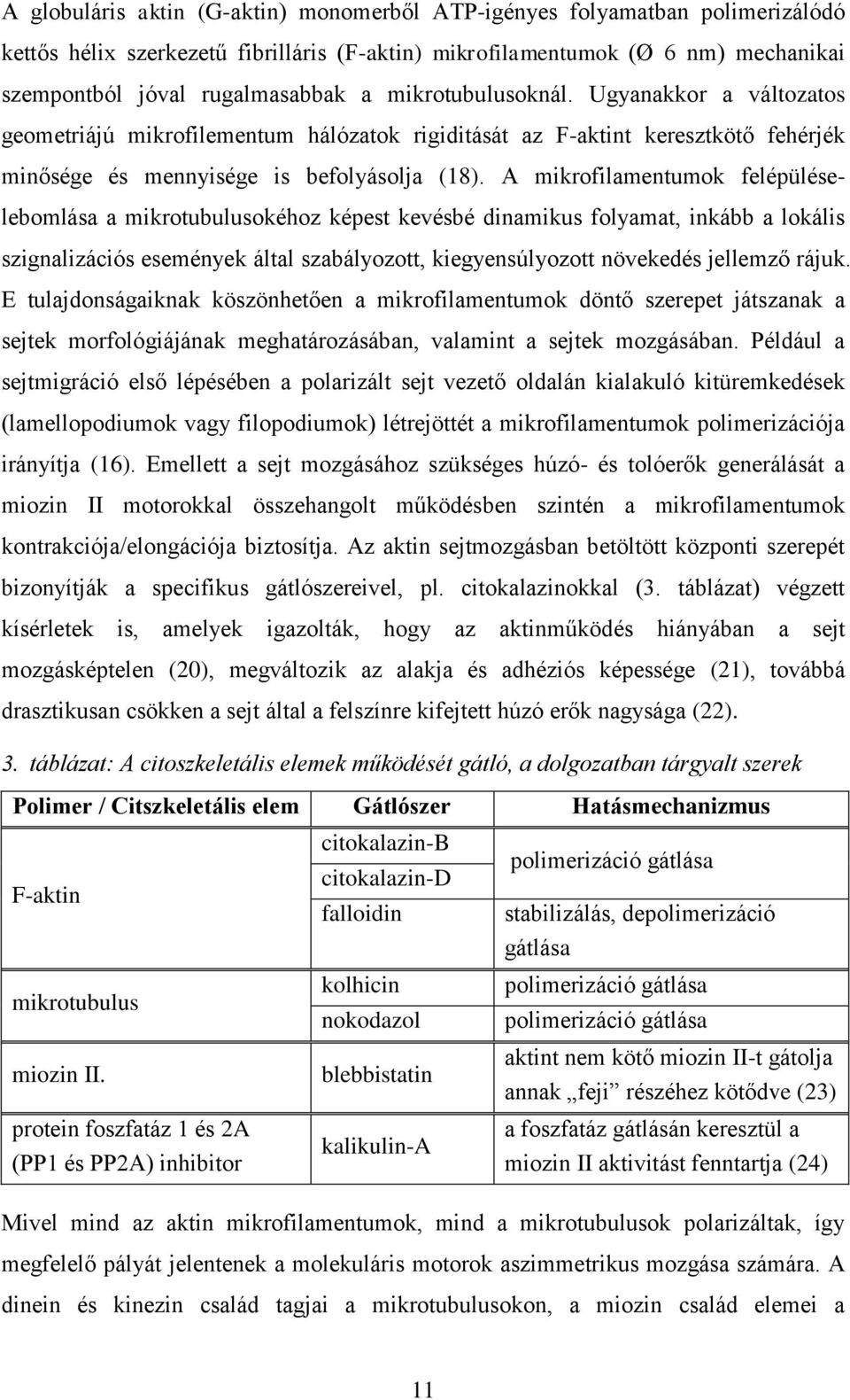 A mikrofilamentumok felépüléselebomlása a mikrotubulusokéhoz képest kevésbé dinamikus folyamat, inkább a lokális szignalizációs események által szabályozott, kiegyensúlyozott növekedés jellemző rájuk.