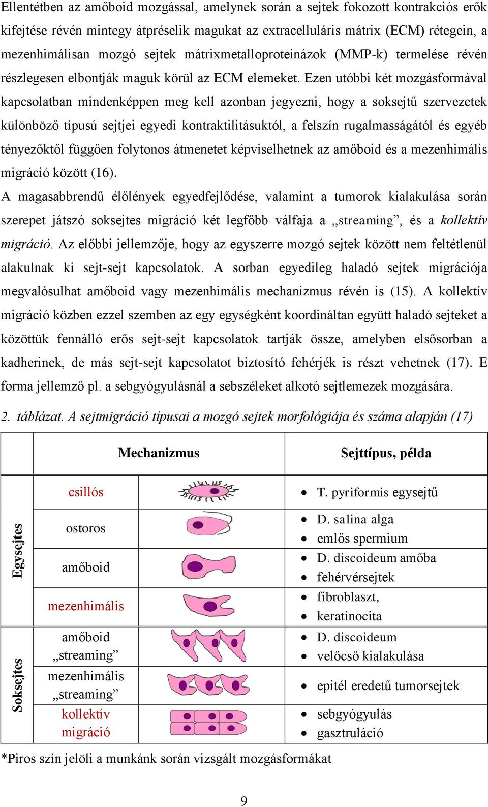 Ezen utóbbi két mozgásformával kapcsolatban mindenképpen meg kell azonban jegyezni, hogy a soksejtű szervezetek különböző típusú sejtjei egyedi kontraktilitásuktól, a felszín rugalmasságától és egyéb