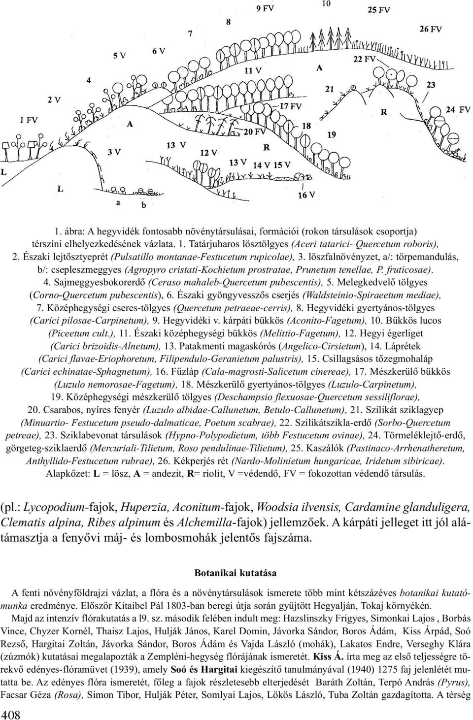 fruticosae). 4. Sajmeggyesbokorerdõ (Ceraso mahaleb-quercetum pubescentis), 5. Melegkedvelõ tölgyes (Corno-Quercetum pubescentis), 6. Északi gyöngyvesszõs cserjés (Waldsteinio-Spiraeetum mediae), 7.