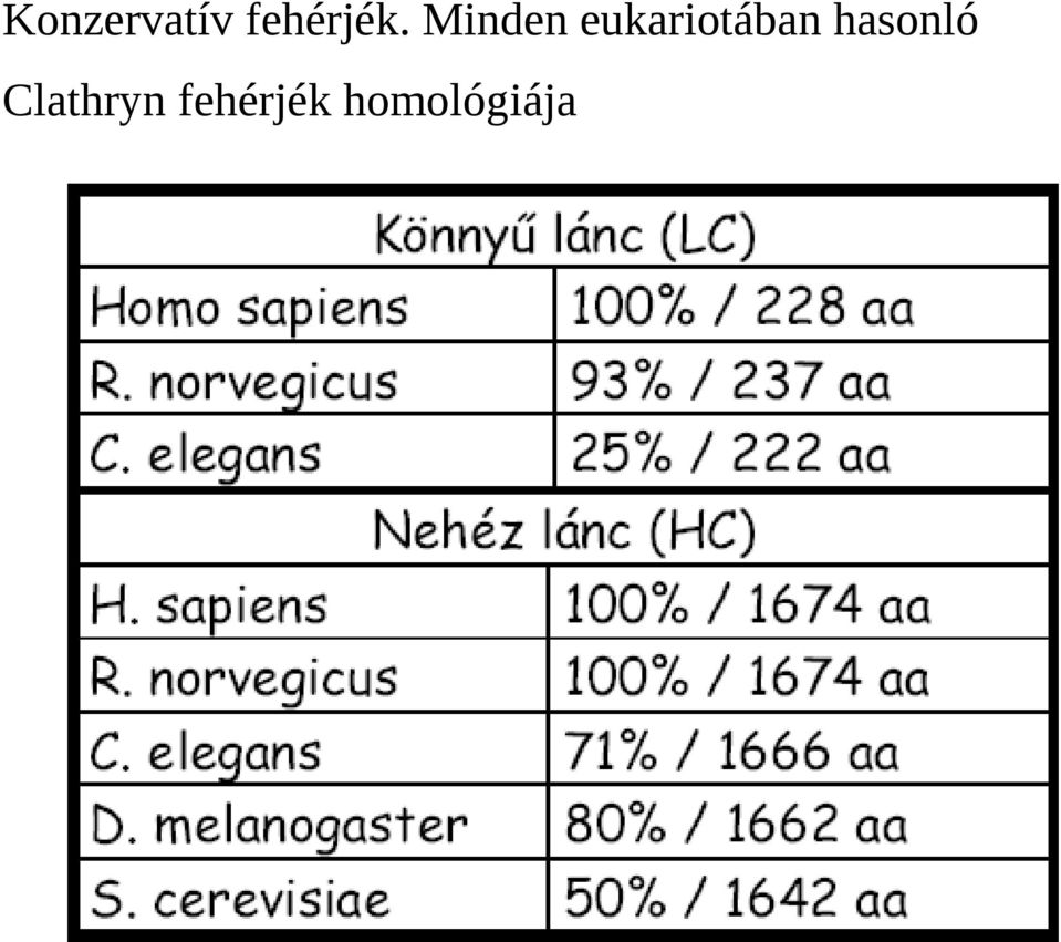 Minden eukariotában