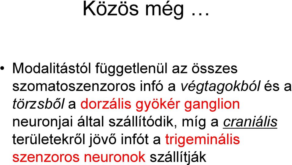 dorzális gyökér ganglion neuronjai által szállítódik, míg