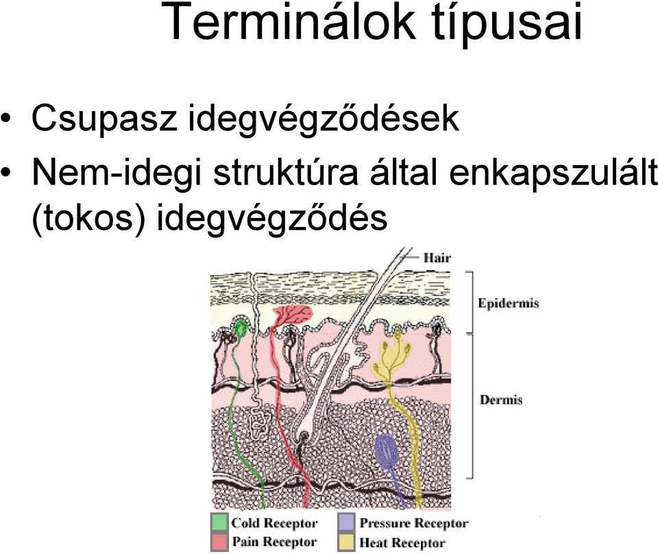 Nem-idegi struktúra által