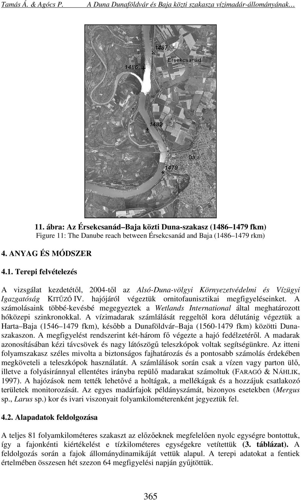 A vízimadarak számlálását reggeltől kora délutánig végeztük a Harta Baja (1546 1479 fkm), később a Dunaföldvár Baja (156-1479 fkm) közötti Dunaszakaszon.