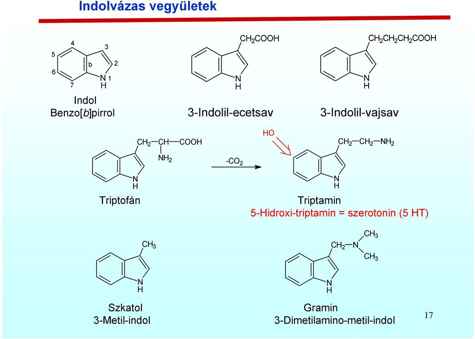 2 -C 2 Triptofán Triptamin 5-idroxi-triptamin = szerotonin (5 T) C