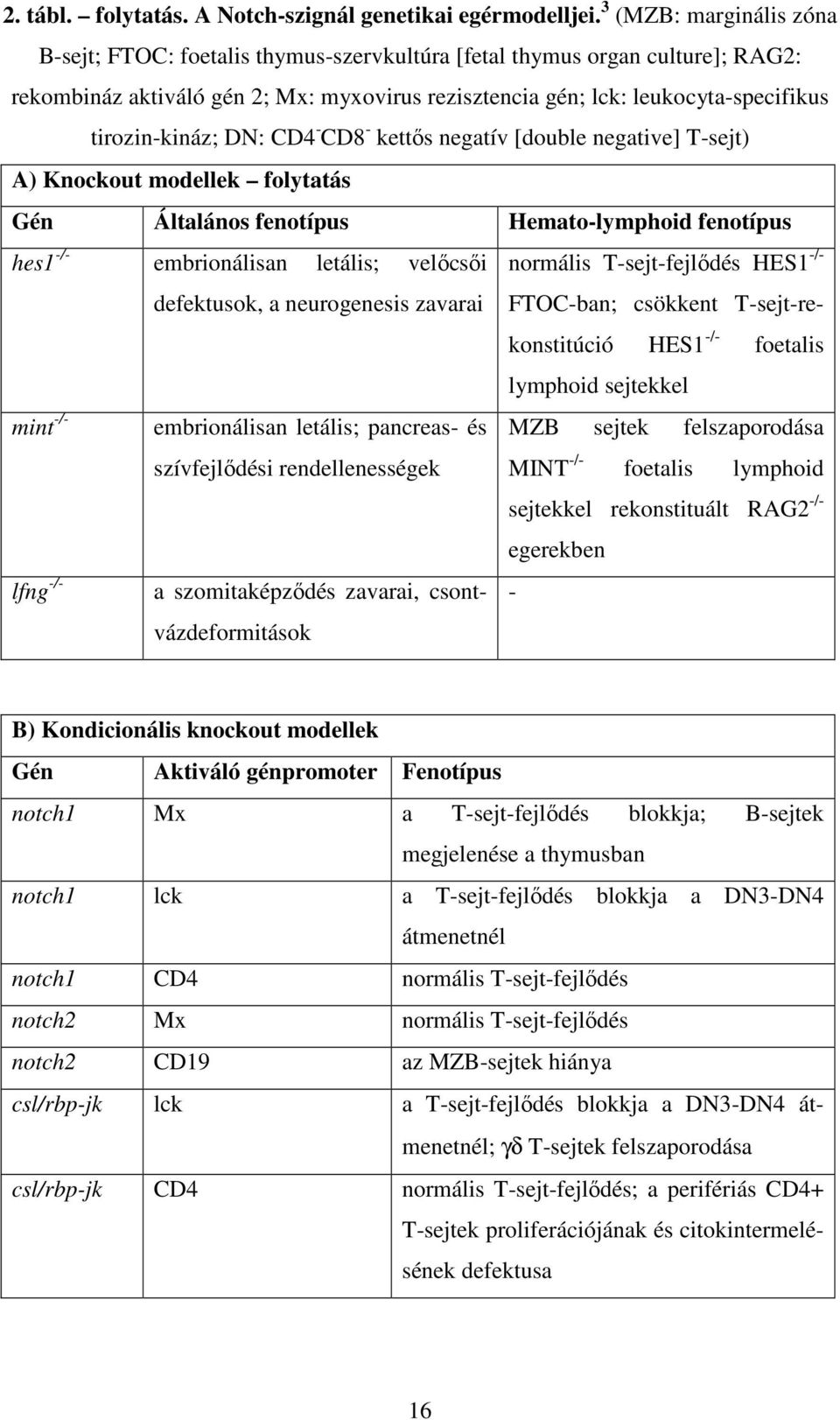 tirozin-kináz; DN: CD4 - CD8 - kettős negatív [double negative] T-sejt) A) Knockout modellek folytatás Gén Általános fenotípus Hemato-lymphoid fenotípus hes1 -/- embrionálisan letális; velőcsői