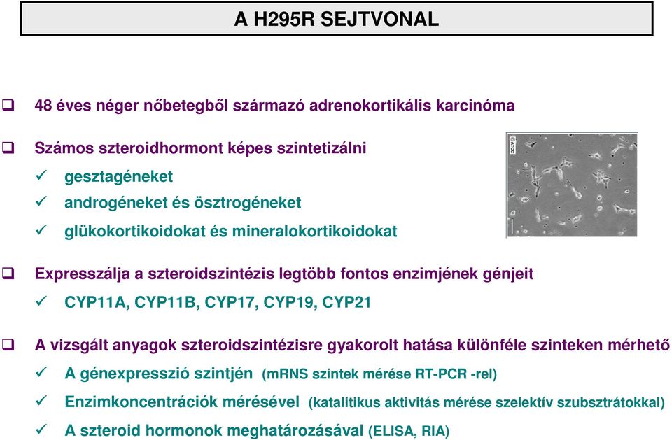 CYP11A, CYP11B, CYP17, CYP19, CYP21 A vizsgált anyagok szteroidszintézisre gyakorolt hatása különféle szinteken mérhetı A génexpresszió szintjén