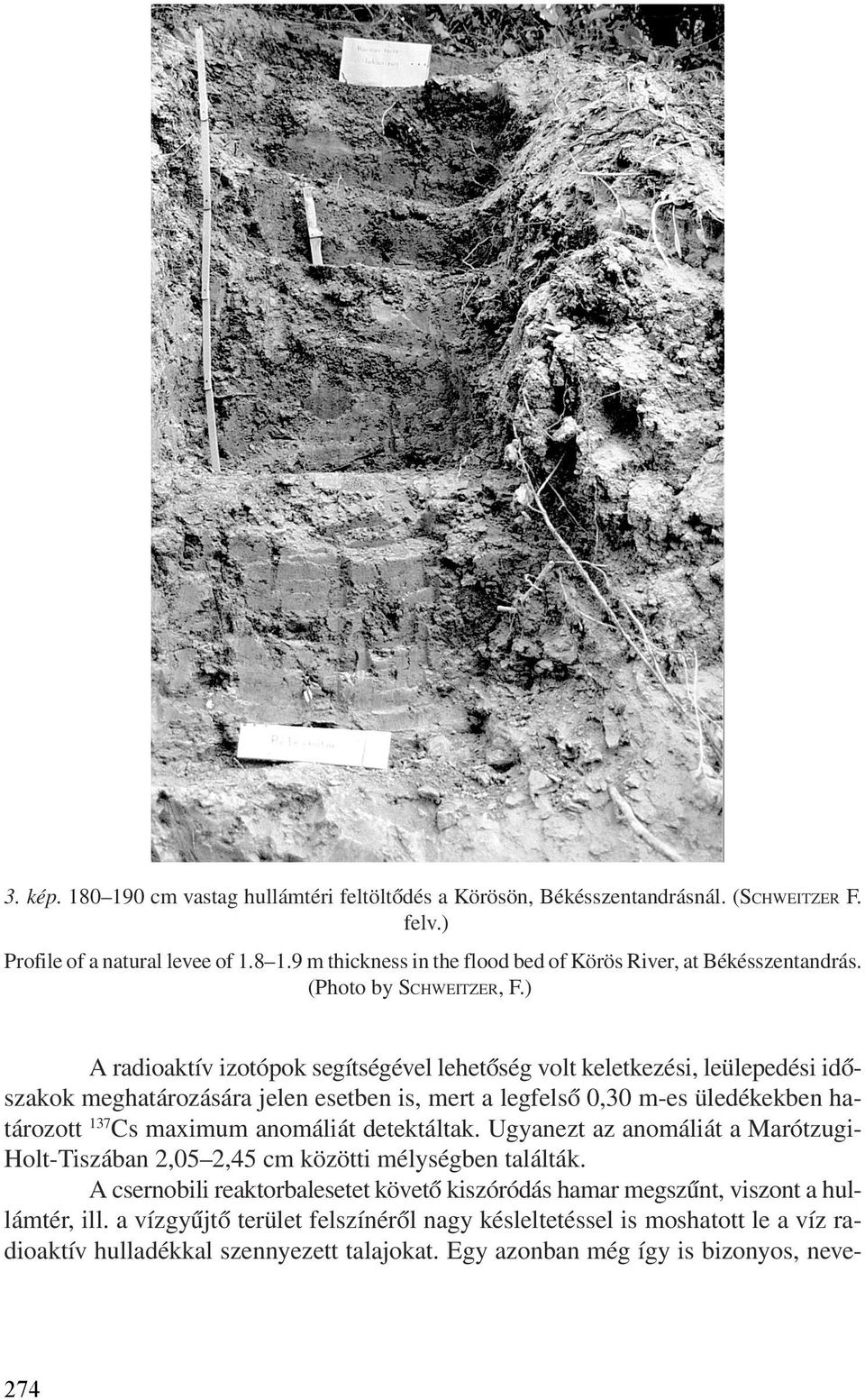 ) A radioaktív izotópok segítségével lehetõség volt keletkezési, leülepedési idõszakok meghatározására jelen esetben is, mert a legfelsõ 0,30 m-es üledékekben határozott 137 Cs maximum anomáliát