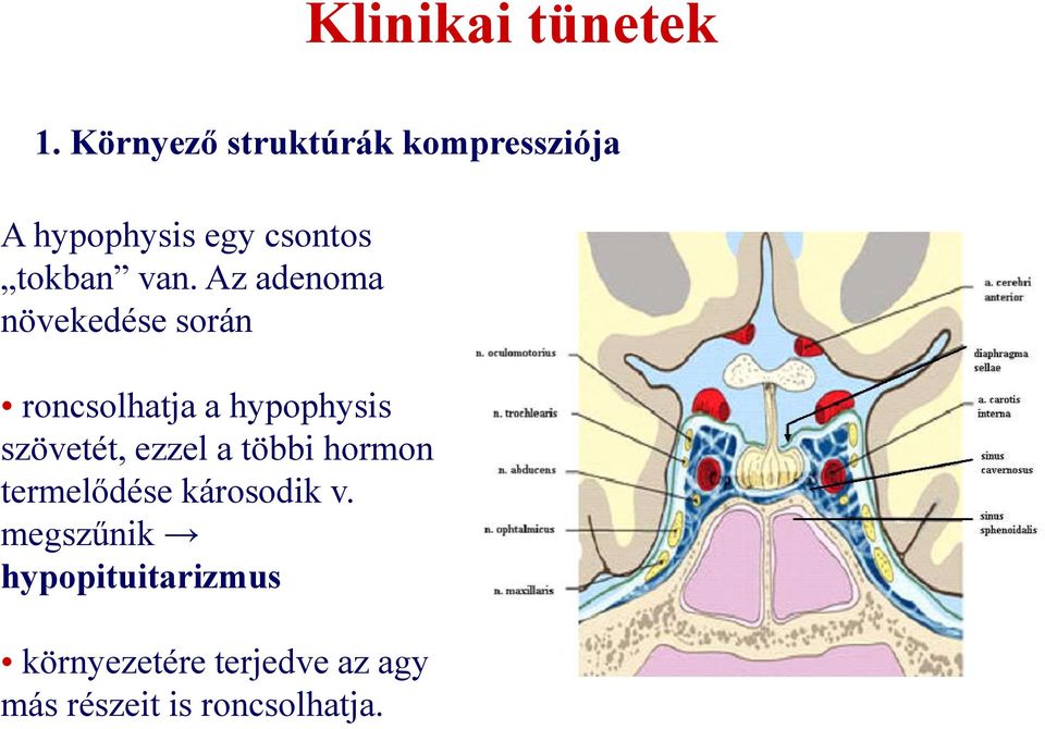 Az adenoma növekedése során roncsolhatja a hypophysis szövetét, ezzel a