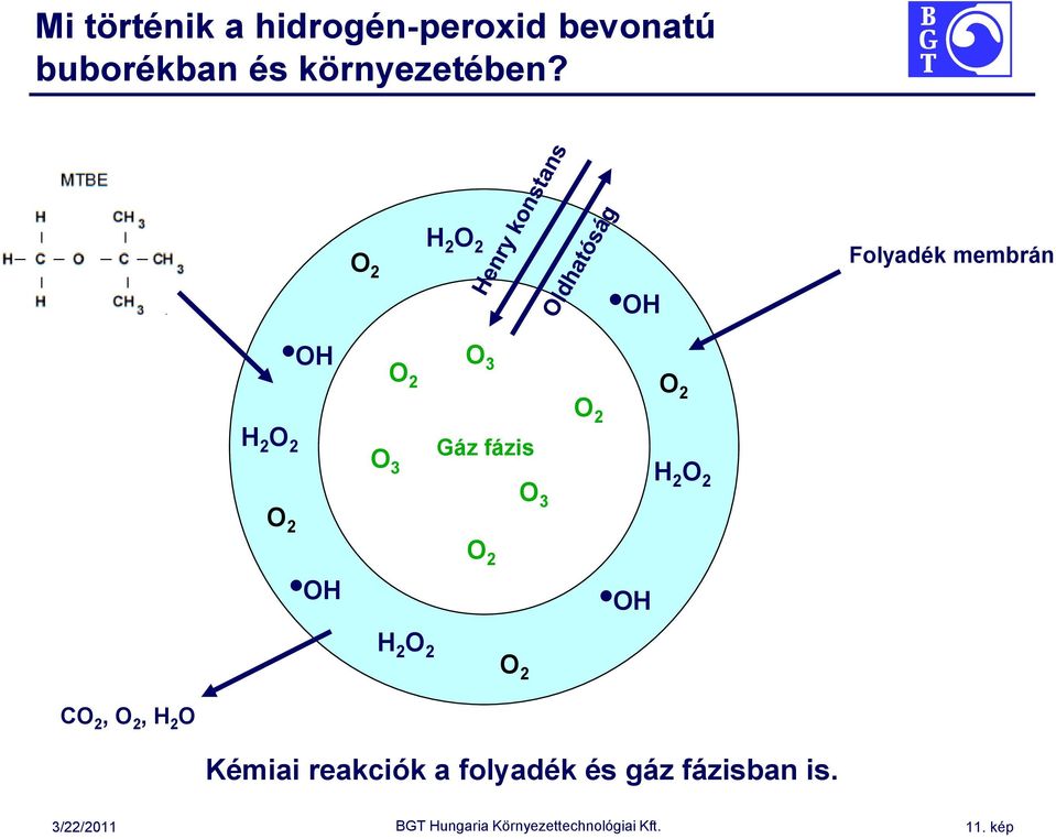 O 2 H 2 O 2 Folyadék membrán OH OH O 3 O 2 O 2 O 2 H 2 O 2 O 3