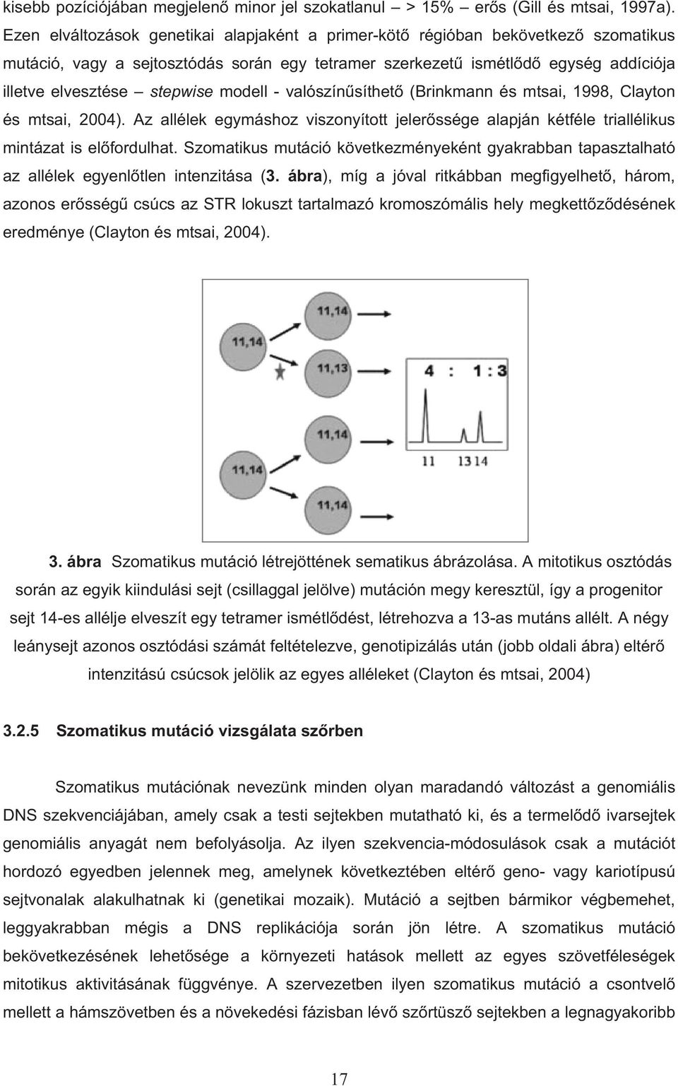 modell - valószín síthet (Brinkmann és mtsai, 1998, Clayton és mtsai, 2004). Az allélek egymáshoz viszonyított jeler ssége alapján kétféle triallélikus mintázat is el fordulhat.