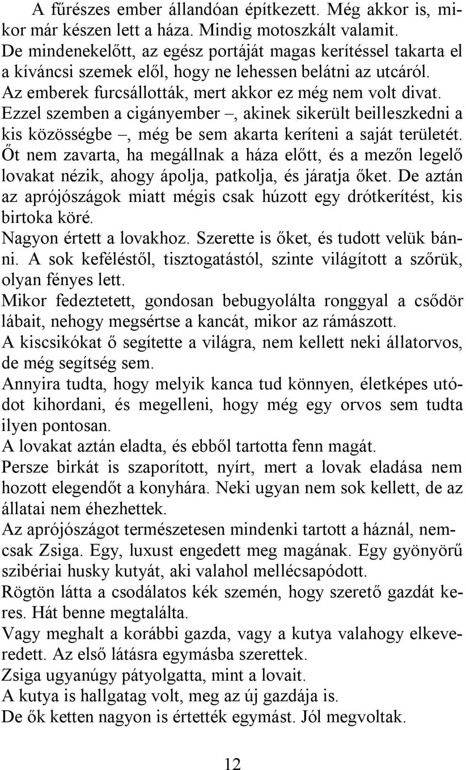 Ezzel szemben a cigányember, akinek sikerült beilleszkedni a kis közösségbe, még be sem akarta keríteni a saját területét.