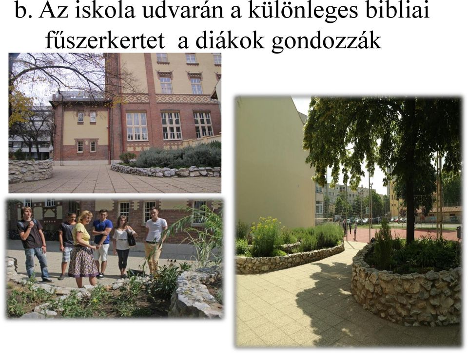 különleges bibliai