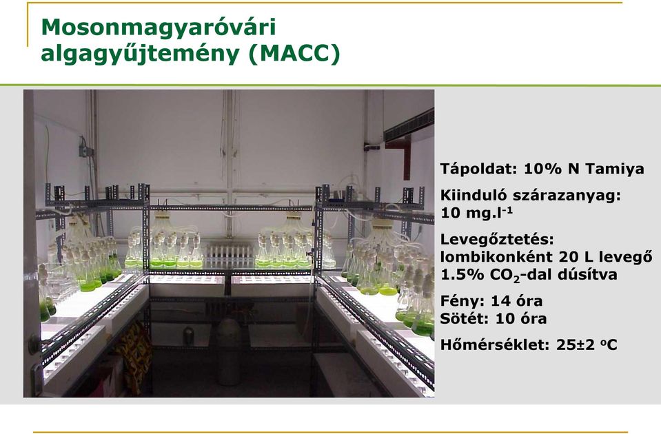 l -1 Levegőztetés: lombikonként 20 L levegő 1.