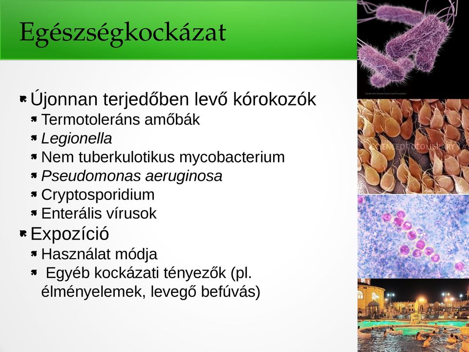 aeruginosa Cryptosporidium Enterális vírusok Expozíció Használat