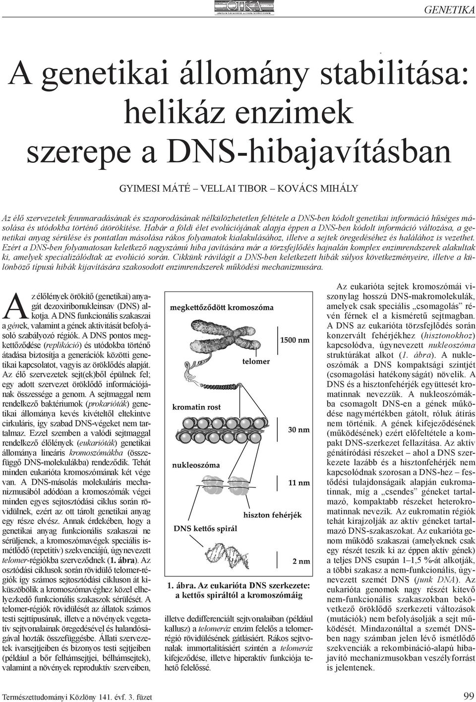 Habár a földi élet evolúciójának alapja éppen a DNS-ben kódolt információ változása, a genetikai anyag sérülése és pontatlan másolása rákos folyamatok kialakulásához, illetve a sejtek öregedéséhez és